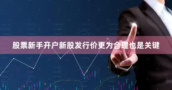 股票新手开户新股发行价更为合理也是关键